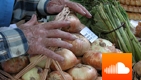 PODCAST: Rising Food Prices Could Exacerbate Instability 